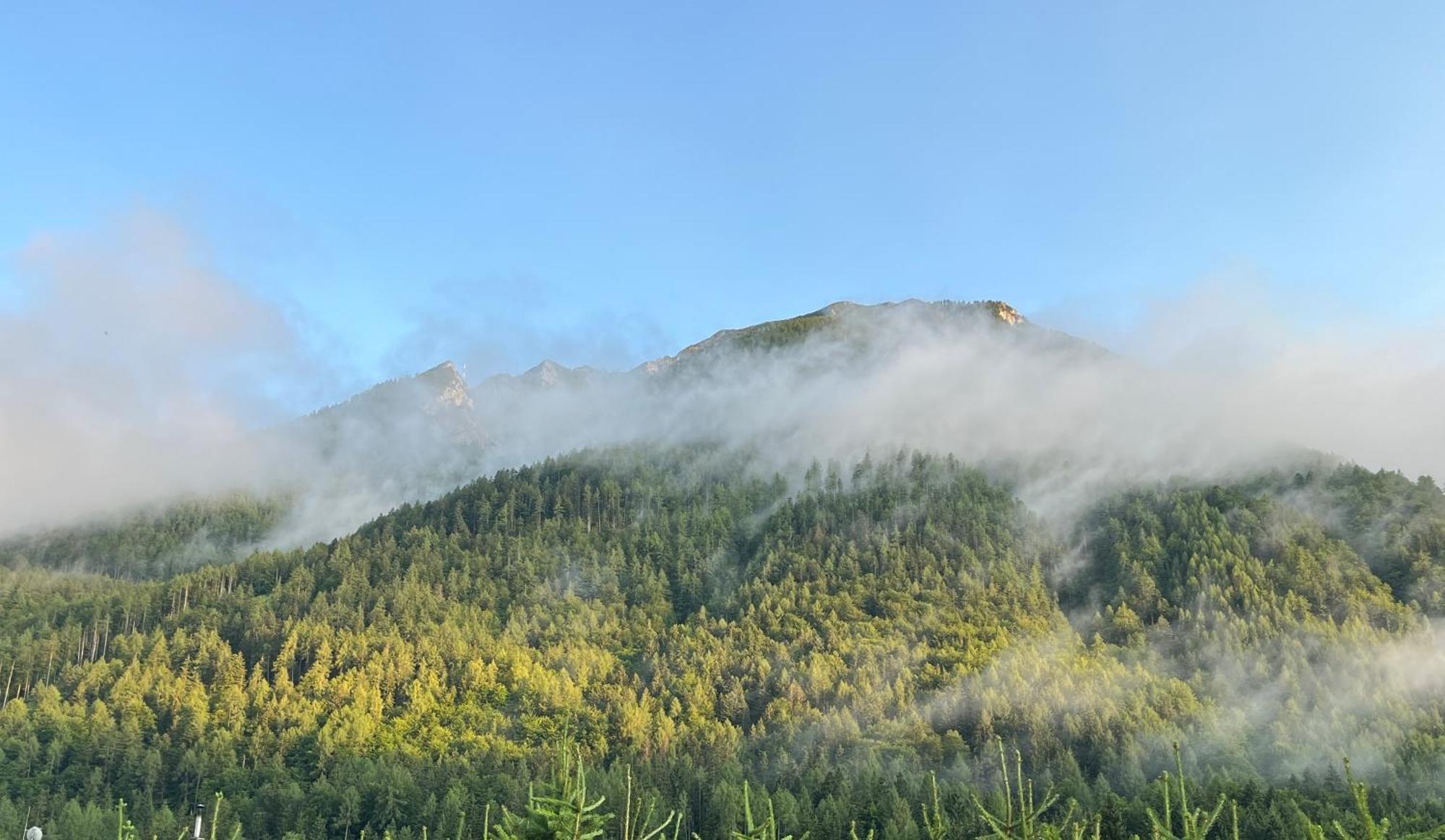 شقة Haus Im Hochtal باد بلايبرغ المظهر الخارجي الصورة