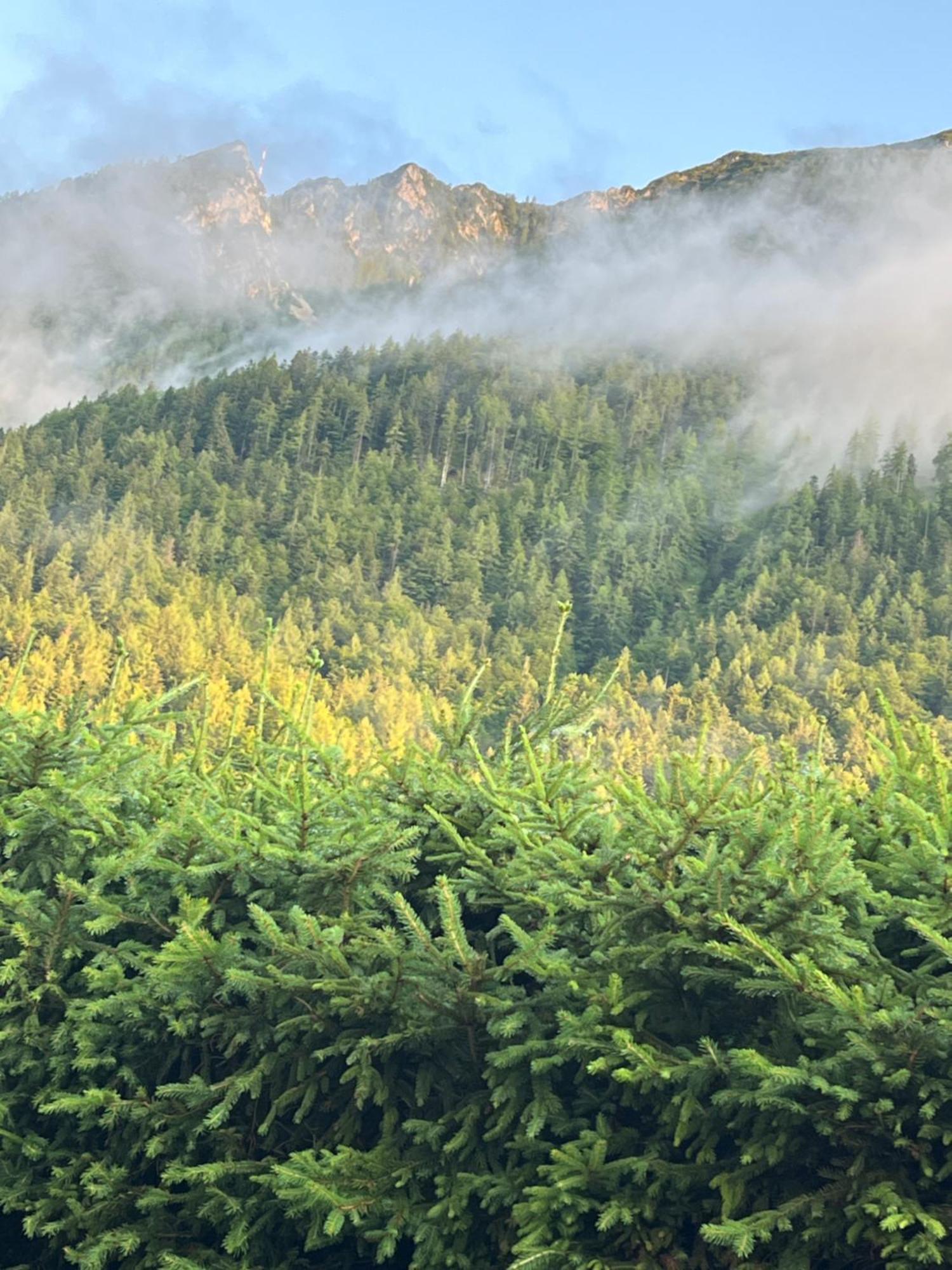 شقة Haus Im Hochtal باد بلايبرغ المظهر الخارجي الصورة